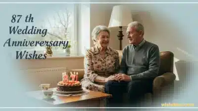 87th Wedding Anniversary Wishes