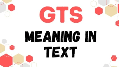 gts meaning in text