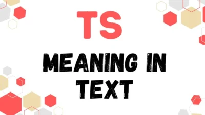 ts meaning in text